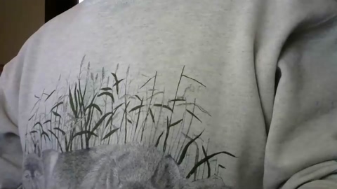 il_undercover  11-12-2022